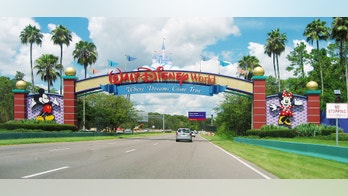 Wacky things you haven't tried at Walt Disney World yet