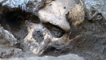 What we learned about human origins in 2013