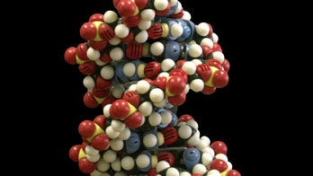 Secret second code found hiding within human DNA