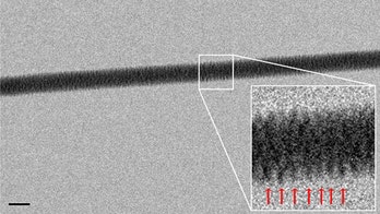 DNA directly photographed for first time