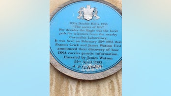 Feminists vandalize plaque to DNA discovery scientists