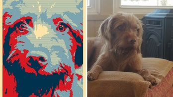 Kansas dog with 'anti-squirrel agenda' cannot run for state's governor, officials say