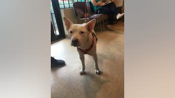 Florida police officer takes homeless man's dog to vet, pays for bill