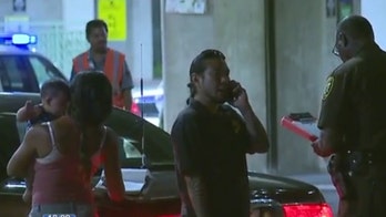 Hawaii woman's dog shot, killed at Honolulu airport