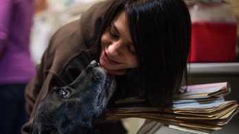 Lost dog reunited with Pennsylvania family after 10 years