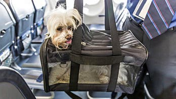 6 Dumb Mistakes People Make When They Move Abroad