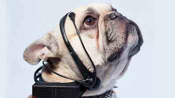 Dog-to-English translator funded on Indiegogo