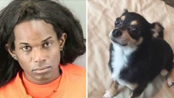 California woman guilty of killing dog, throwing animal from parking garage