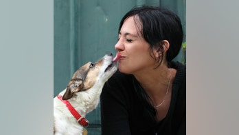 Is it Safe to Kiss Your Pet?