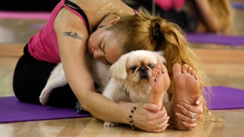 270 Chinese couples do yoga with dogs to try to break 'doga' world record