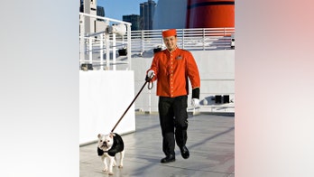 An insider's look at a cruise ship kennel (yes they exist)