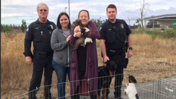 Eleven dogs recovered with stolen RV they were riding in