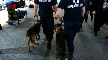 Bomb dogs know best: New tech aims to make canine heroes safer