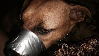 Woman who duct taped dog's mouth shut in September convicted
