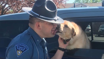 Massachusetts trooper rescues wandering dog with deer jerky