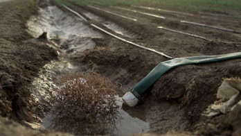Health experts warn of water contamination from California drought