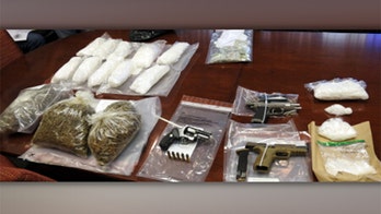 California drug bust nets methamphetamine, guns, hundreds of pot plants, $10G, authorities say