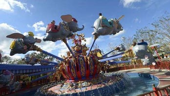 No carpet rides here: Disney keeps no-fly zone over parks