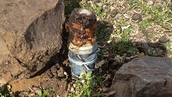 Ban sought for cyanide trap that hurt Idaho boy, killed dog