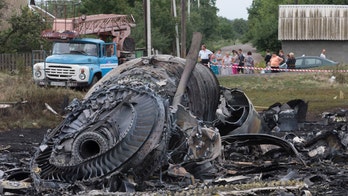 Malaysia Plane Shot Down By Ukraine, Claims Mysterious Spanish Air Traffic Controller