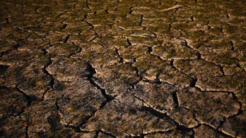 Brown water, beaver battle among early signs of water woes