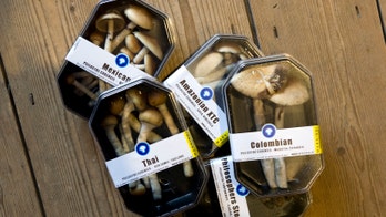 First magic mushroom depression trial hits stumbling block