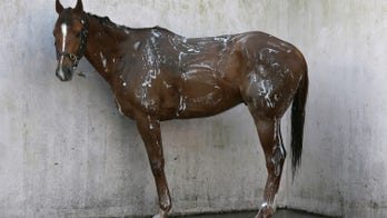 Horse manure burst into flames in hot NY weather, officials reveal