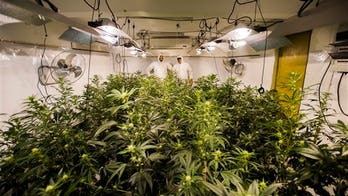 New Mexico set to legalize weed, will become 17th state to end prohibition