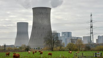 Europe reconsiders nuclear power shutdown as Moscow cuts off gas pipelines: report
