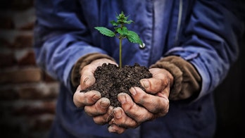 Earth's soil is hyperventilating thanks to climate change