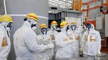 Plastic pad clogs Fukushima water cleaning system