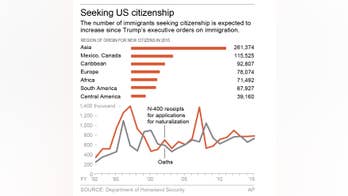 A look at naturalizations in the US, by the numbers