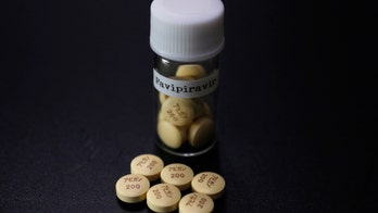 Fujifilm says its Avigan may be approved as Ebola drug by end of 2014