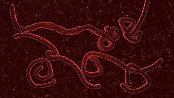 What's scary about Ebola, reasons not to fear it