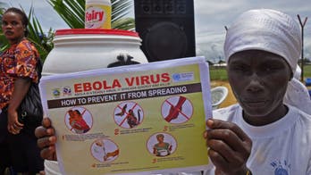 Ebola toll may 'vastly underestimate' crisis, says WHO