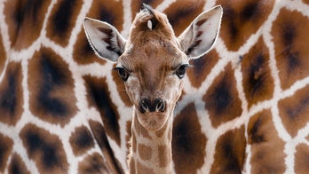 Best Pix Of The Week