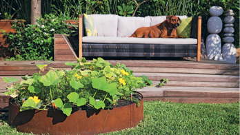 Plant Your Garden and Eat It, Too: Tips From HGTV's Jamie Durie