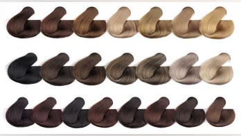 The Home Hair Color Spectrum, Decoded