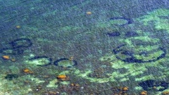 Aliens didn't do it! Underwater 'fairy rings' explained