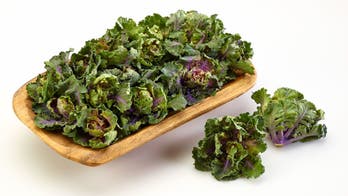 Kale lovers meet the Kalette, the hot new vegetable of 2015