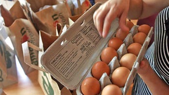 Egg Company to Apologize for Outbreak