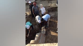 Trove of statues depicting lioness goddess discovered in Egypt