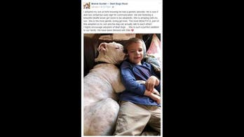 Non-verbal boy finds companion in family's deaf dog