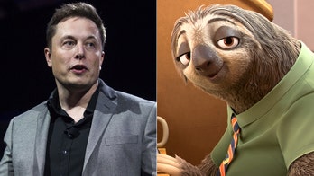 Elon Musk spots sloth at DMV