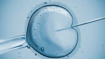 Scientists edit embryos' genes to study early human development