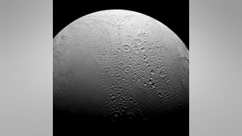 Scientists have found the 'building blocks' for life on Saturn's moon Enceladus