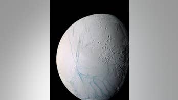 Life in the Saturn system? Cassini has shown it's possible