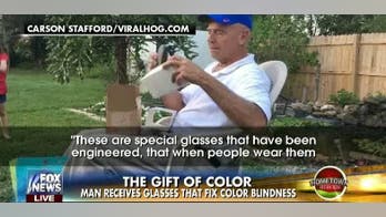 Enchroma Glasses