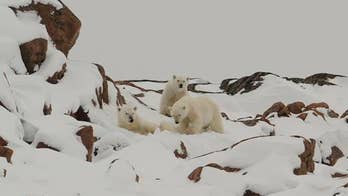 The world’s most elusive sea route: Cruise to traverse The Northwest Passage