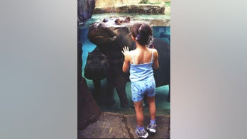 Taking the Kids -- to a free zoo